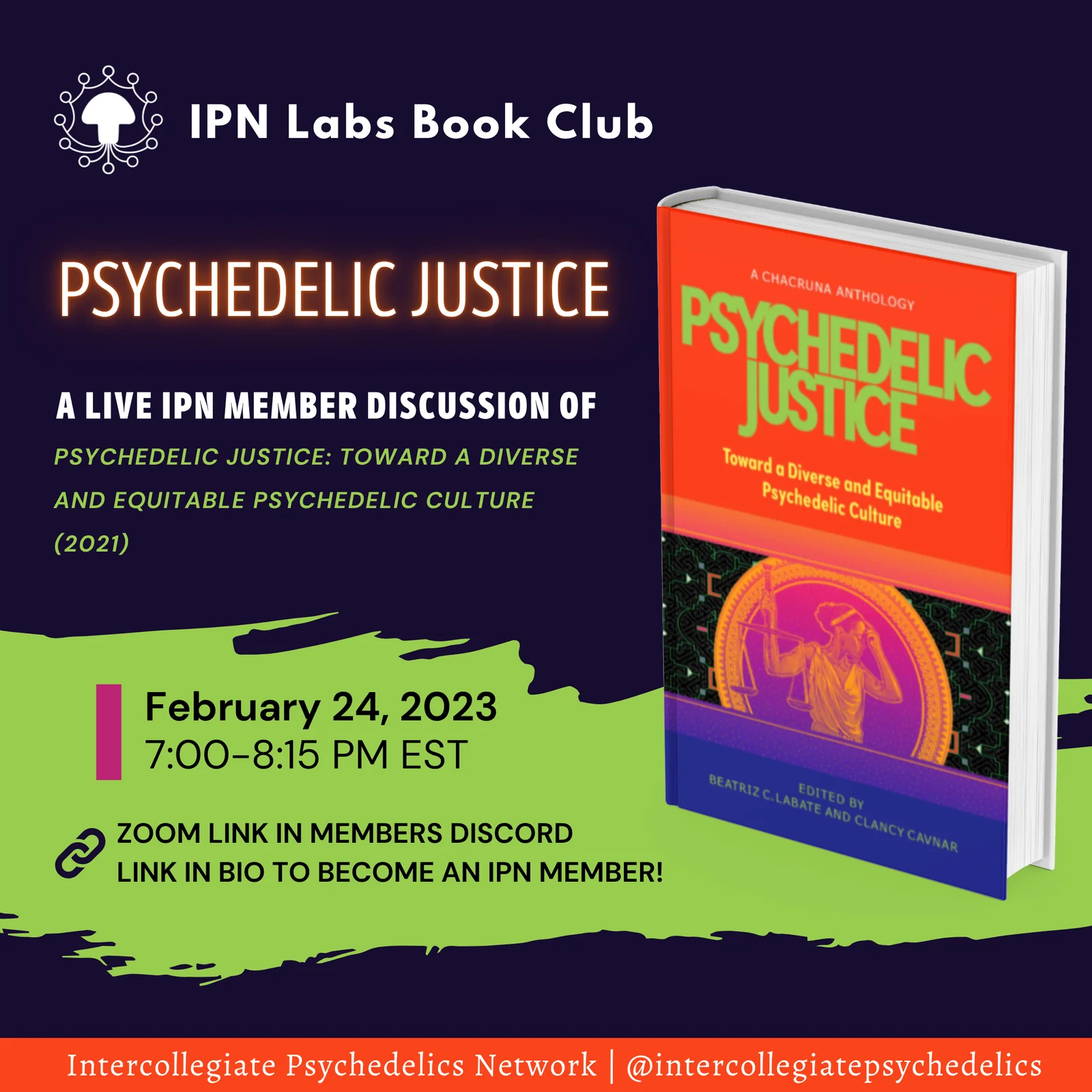 Psychedelic Justice promo