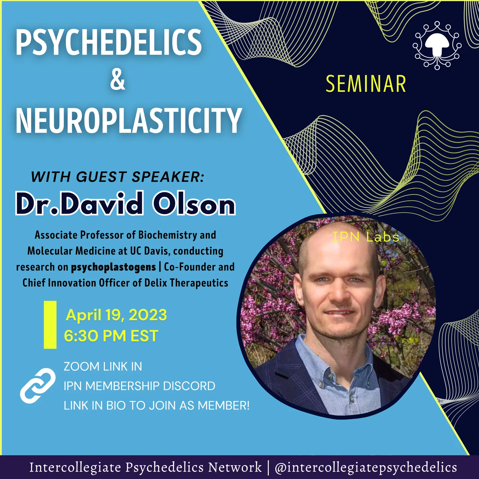 Dr. David Olson – Psychedelics & Neuroplasticity promo