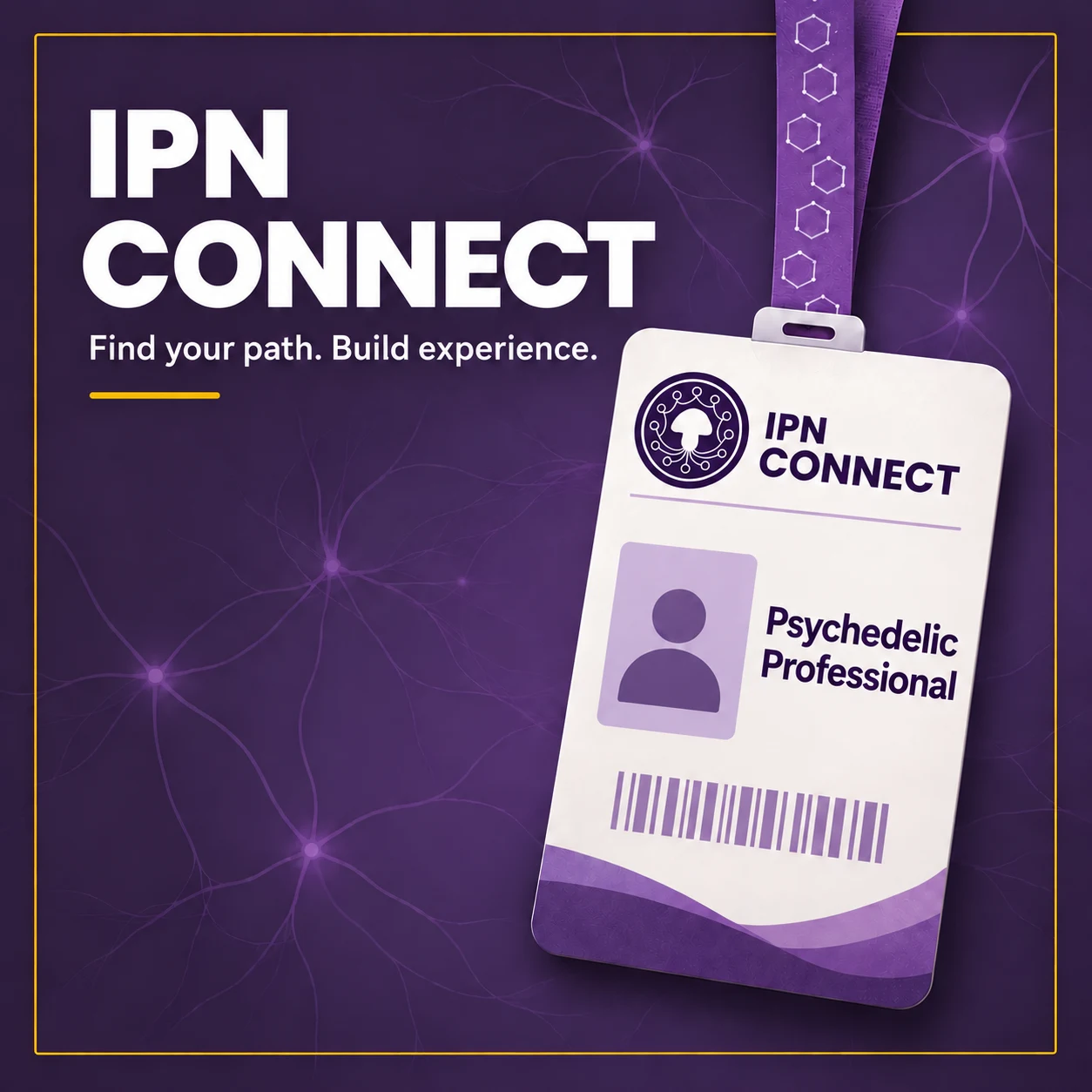 IPN Connect: Find your path. Build experience. A key card titled Psychedelic Professional.